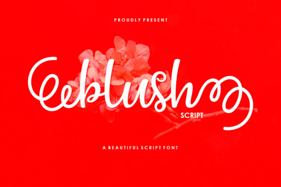 Blush Script: A Playful Script Handwritten Font for Creative Fonts