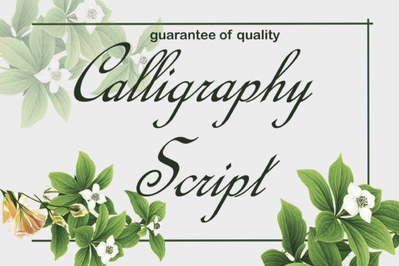 Calligraphy Script: The Ultimate Font for Creative Marketers and Designers