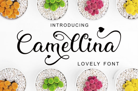 Camellina Script: A Font That Elevates Branding with Elegance