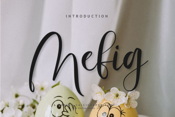 Mefig Script: A Timeless Font for Branding and Design
