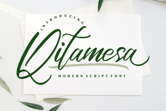 Qitamesa Script for Business Branding and Creative Design