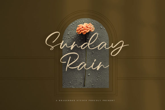 Sunday Rain - Script for Elegant Editorial Design